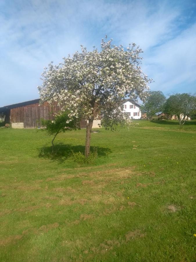 La Maison De Pescate Souprosse Luaran gambar